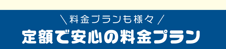 買取更におトク定額で安心料金プラン